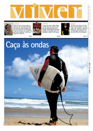Viver