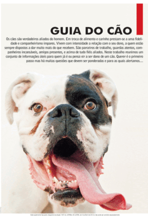 Guia do Cão