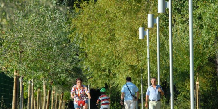 Aumento do consumo de medicamentos com vitamina D preocupa especialistas