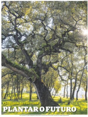 Floresta Autóctone