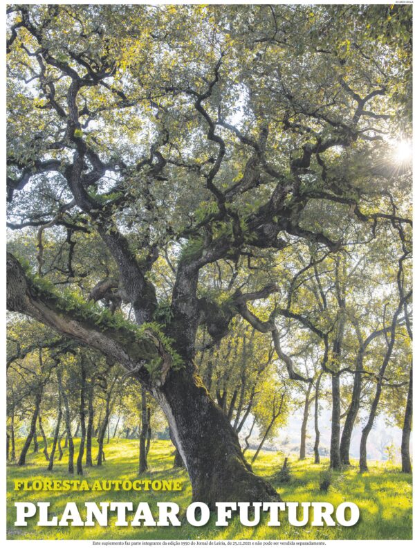 Floresta Autóctone
