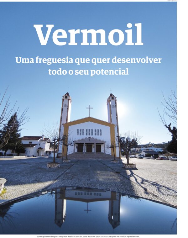 Vermoil