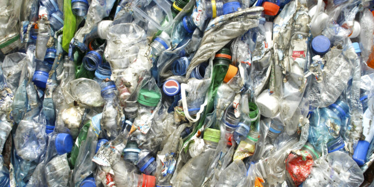 Reciclagem na região aumentou 5%, com a recolha do papel a poupar 92 mil árvores