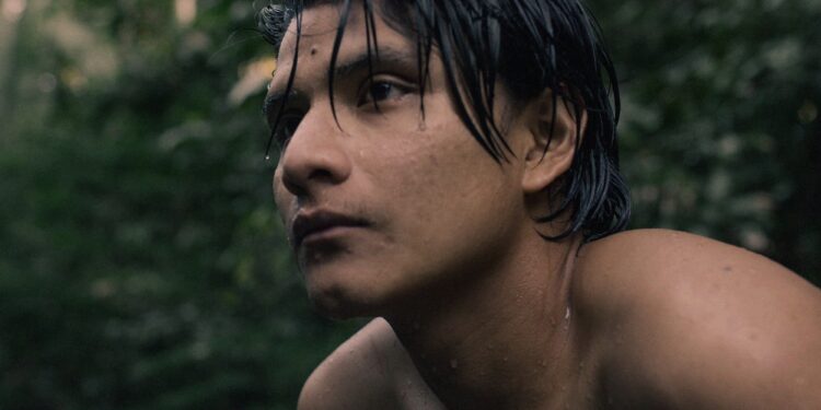 Hádoc. O Território mostra como a Amazónia acende o rastilho do conflito entre dois modos de vida