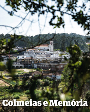 Colmeias e Memória